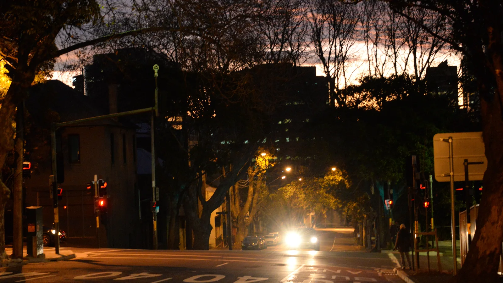A street lined with terraces in Surry Hills